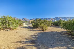 29520 Piani, Pearblossom, CA 93553 - Photo 31