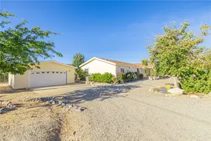 29520 Piani, Pearblossom, CA 93553 - Photo 5