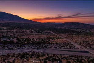 29520 Piani, Pearblossom, CA 93553 - Photo 35
