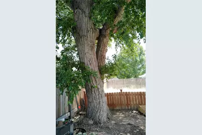 412 Border, Frazier Park, CA 93225 - Photo 21
