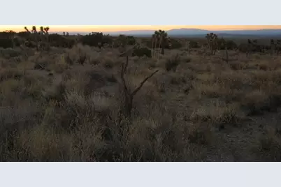 223 Avenue Y14, Llano, CA 93544 - Photo 19