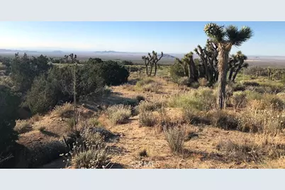 223 Avenue Y14, Llano, CA 93544 - Photo 37