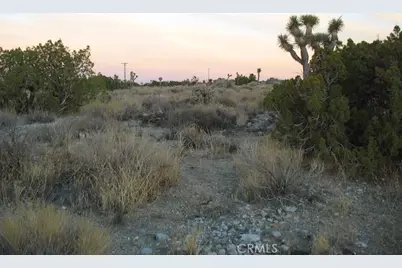 223 Avenue Y14, Llano, CA 93544 - Photo 23