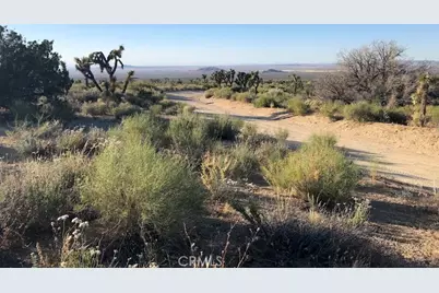 223 Avenue Y14, Llano, CA 93544 - Photo 15
