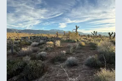 0 Ave X/220, Llano, CA 93544 - Photo 41