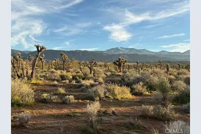 0 Ave X/220, Llano, CA 93544 - Photo 43