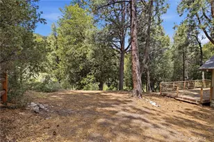 2009 Bernina, Pine Mountain Club, CA 93222 - Photo 25