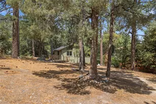 2009 Bernina, Pine Mountain Club, CA 93222 - Photo 23