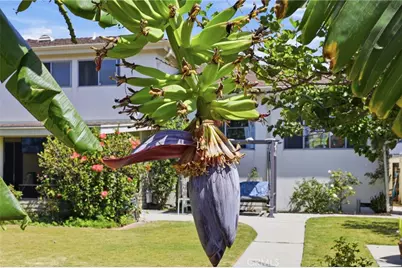 630 Janetwood, Oxnard, CA 93030 - Photo 33