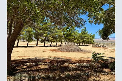 18839 W Avenue B8, Lancaster, CA 93536 - Photo 7