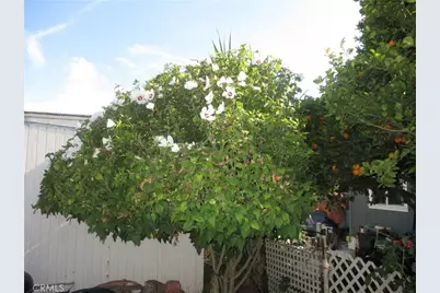 337 Rodgers, Ventura, CA 93003 - Photo 23