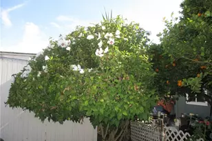 337 Rodgers, Ventura, CA 93003 - Photo 23
