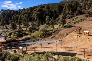 1604 Woodland Dr, Pine Mountain Club, CA 93222 - Photo 71