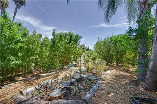 7329 Sausalito, West Hills, CA 91307 - Photo 25