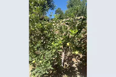 25453 Via Novia, Valencia, CA 91355 - Photo 45