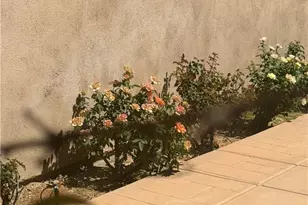 25453 Via Novia, Valencia, CA 91355 - Photo 53