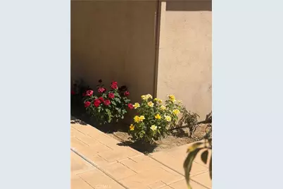 25453 Via Novia, Valencia, CA 91355 - Photo 51