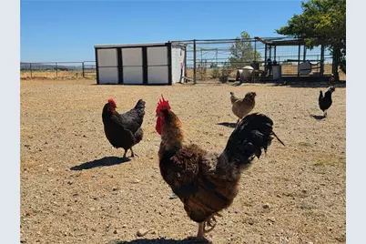 50008 Three Points, Lancaster, CA 93536 - Photo 35