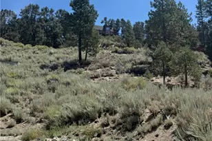 2201 Ironwood, Pine Mountain Club, CA 93222 - Photo 1