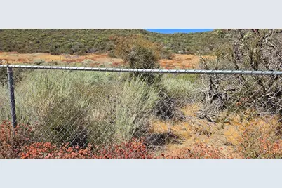 0 Lost Valley Road, Leona Valley, CA 93551 - Photo 7