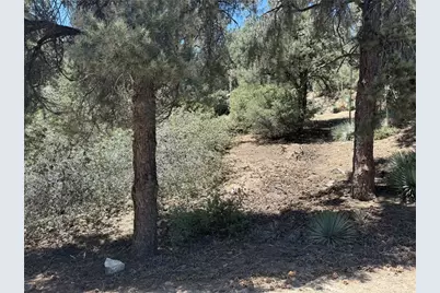 2413 Cedarwood Drive, Pine Mountain Club, CA 93222 - Photo 3