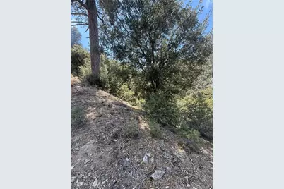 1525 Banff, Pine Mountain Club, CA 93222 - Photo 5