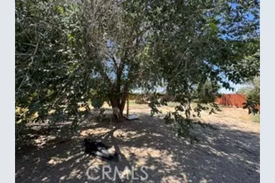 40915 161st, Lancaster, CA 93535 - Photo 5