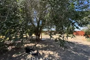 40915 161st, Lancaster, CA 93535 - Photo 5