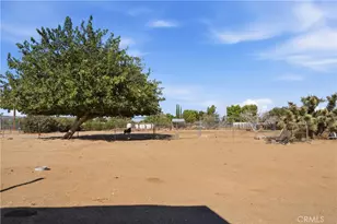 43107 43rd, Lancaster, CA 93536 - Photo 7
