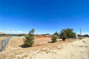 40205 162nd St, Palmdale, CA 93591 - Photo 19