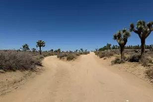 1 200th, Lancaster, CA 93535 - Photo 1