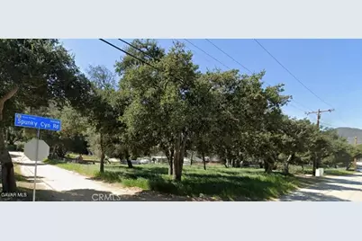 15206 Punky Canyon & Calle El Bosque, Green Valley, CA 91350 - Photo 11
