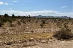 0 NE Ledbiry, Oro Grande, CA 92368 - Photo 1