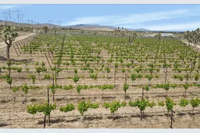 0 Ft Tejon Vic 82nd St E, Palmdale, CA 91352 - Photo 3