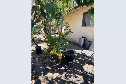 10416 Cayuga, Pacoima, CA 91331 - Photo 7