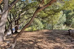 2117 Alder Ct, Pine Mountain Club, CA 93222 - Photo 1