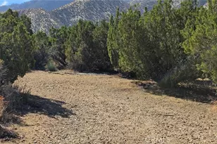 0 121st, Juniper Hills, CA 93543 - Photo 1