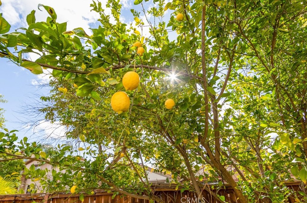 41774 Carleton Way, Temecula CA  92591-1897 exterior