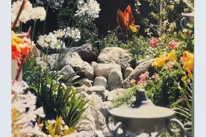 45525 Highway 79 Site 205, Aguanga, CA 92536 - Photo 5