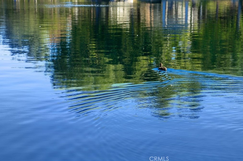 39882 Camden Ct, Temecula CA  92591-5574 exterior