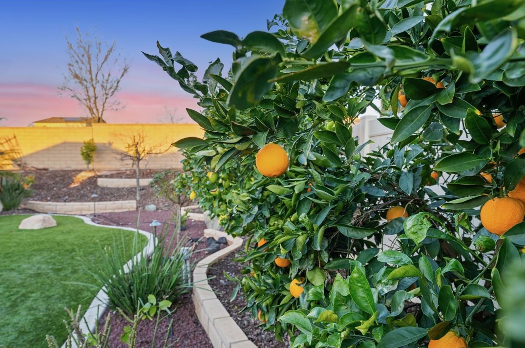 35554 Laurel Tree Ct, Winchester CA  92596-8476 exterior