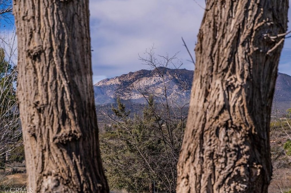 54431 Cave Rock Rd, Anza CA  92539-9150 exterior