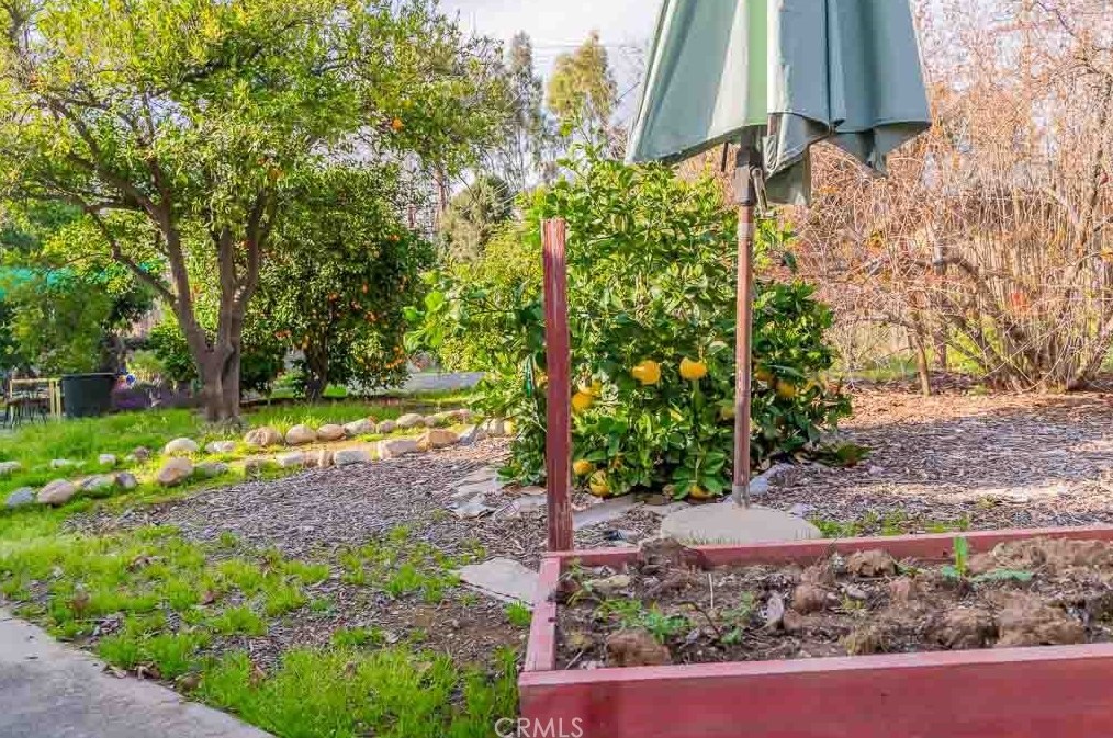 24 Center St, Redlands CA  92373-8102 exterior