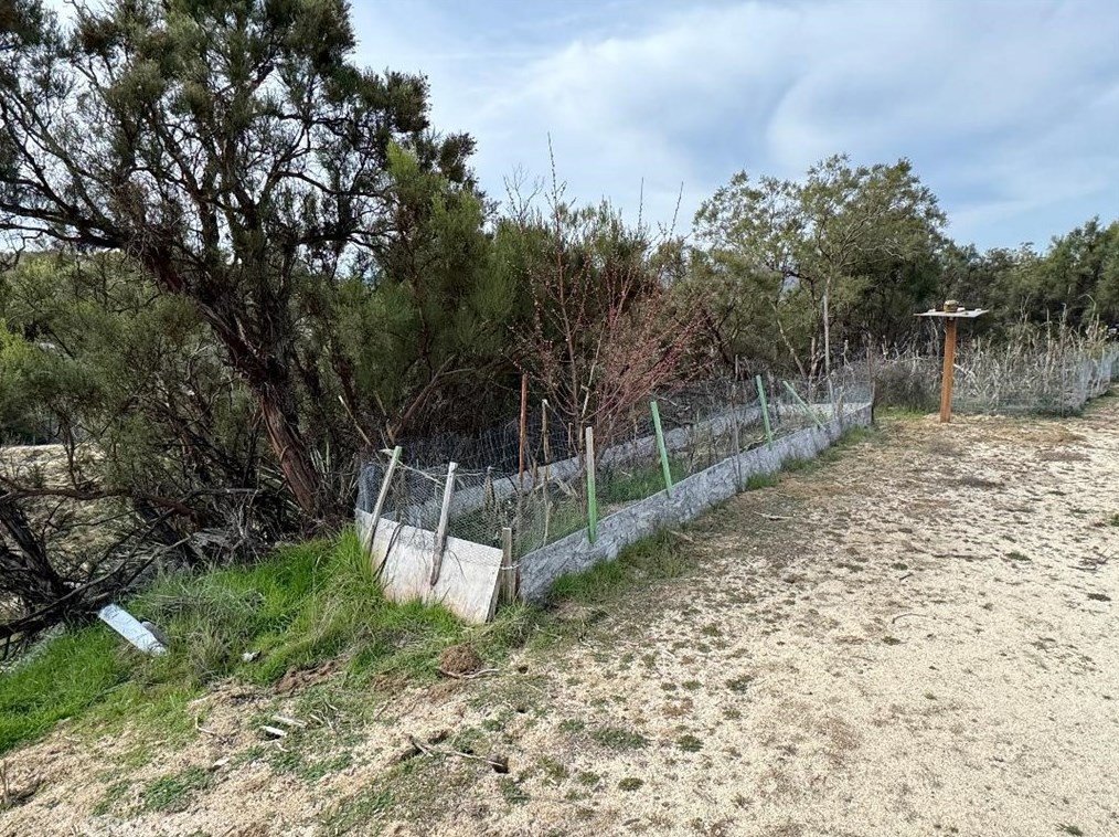 39615 Meyers Ln, Anza CA  exterior