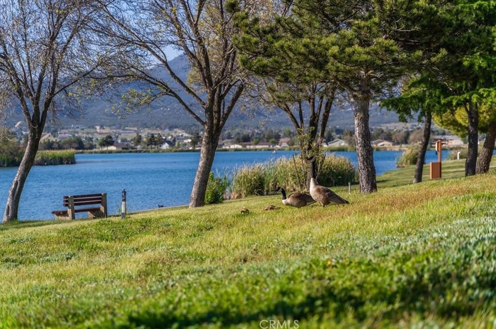 41917 Lakefront Dr, Aguanga CA  92536-9523 exterior