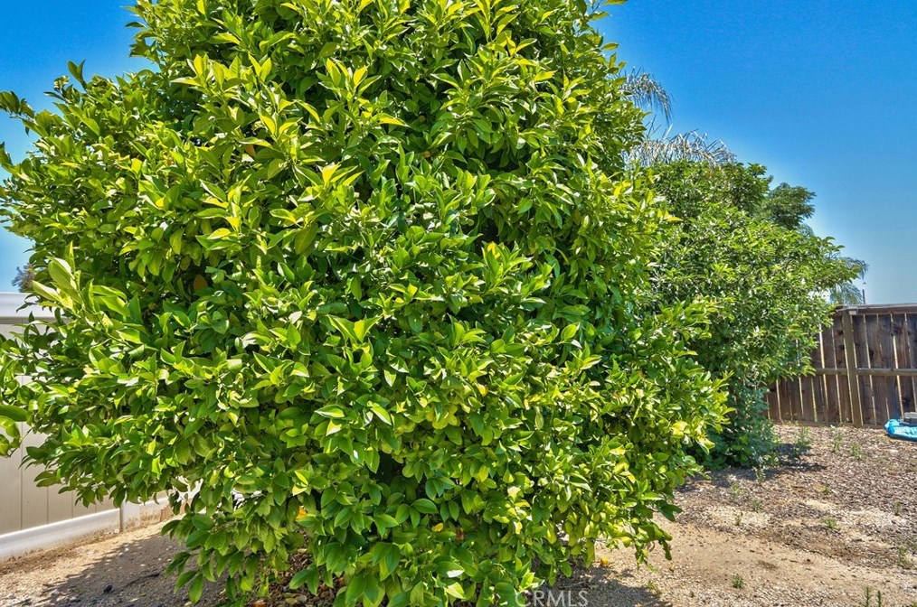 20689 Un St, Wildomar CA 92595-9275 exterior