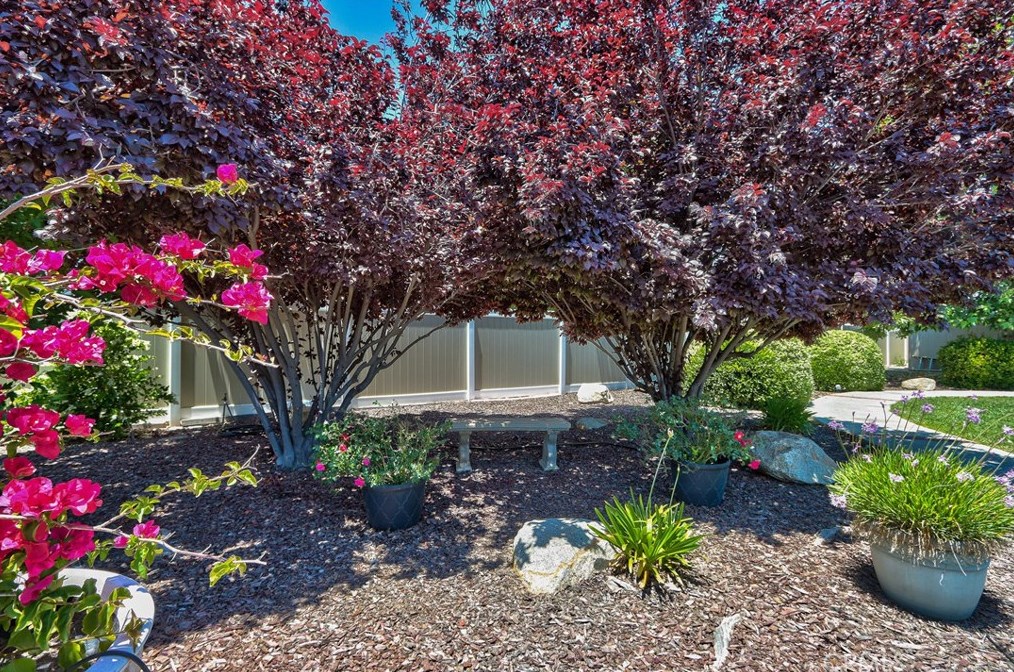 20689 Un St, Wildomar CA 92595-9275 exterior