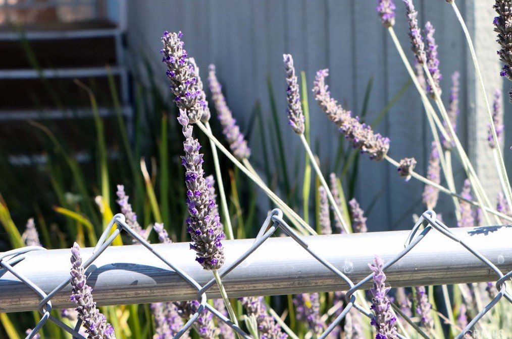 41900 Ivy St, Murrieta CA  92562-9270 exterior