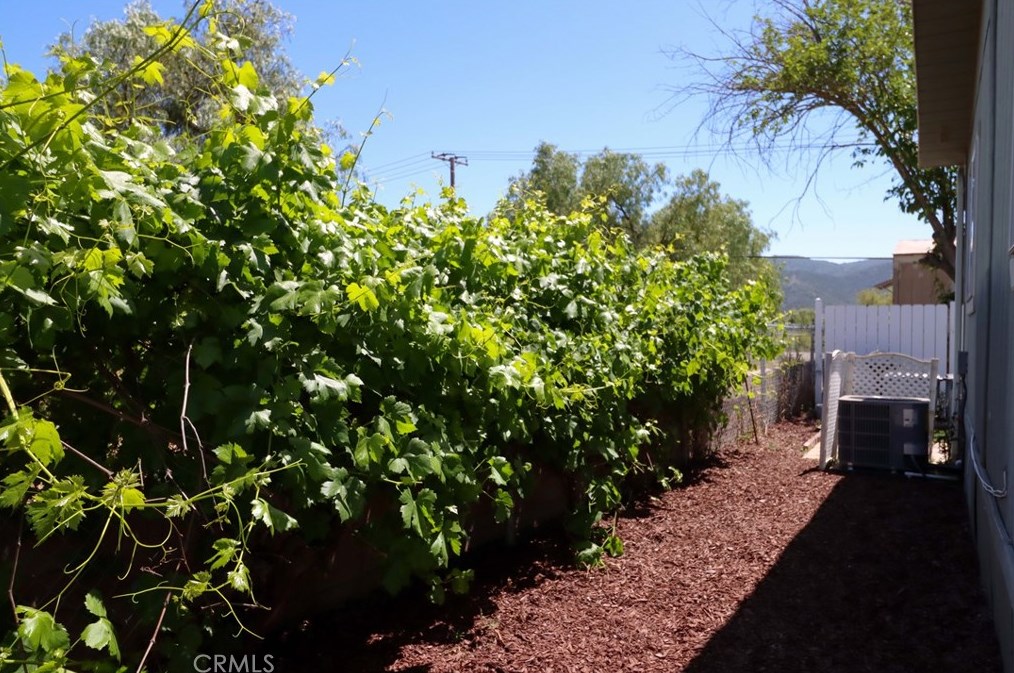 41900 Ivy St, Murrieta CA  92562-9270 exterior