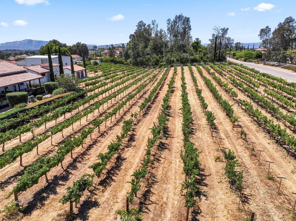 33735 Madera De Playa, Temecula CA 92592-9298 exterior